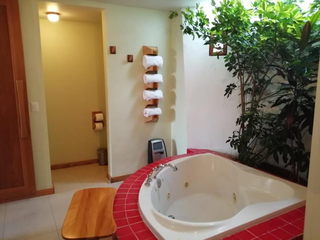 Casa Tsaya Hotel Boutique Bernal Dış mekan fotoğraf
