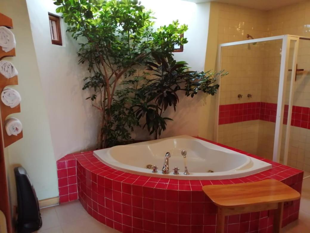 Casa Tsaya Hotel Boutique Bernal Dış mekan fotoğraf